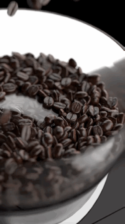 Beans_SPRSO_Black